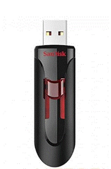 Sandisk 256 GB SDCZ600-256G-G35 USB 3.0 Bellek