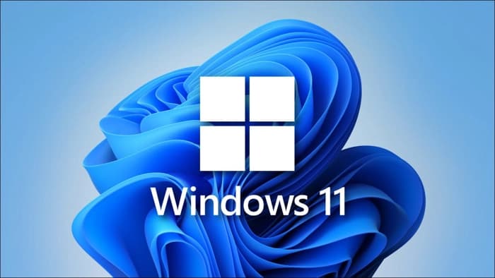 Microsoft Windows 11 Pro Oem FQC-10556 İşletim Sistemi