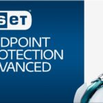 ESET PROTECT Entry On-Prem (EEPA) Cloud 1+20 ( Yönetim Konsolu | Antivirüs | Antispyware | Firewall )