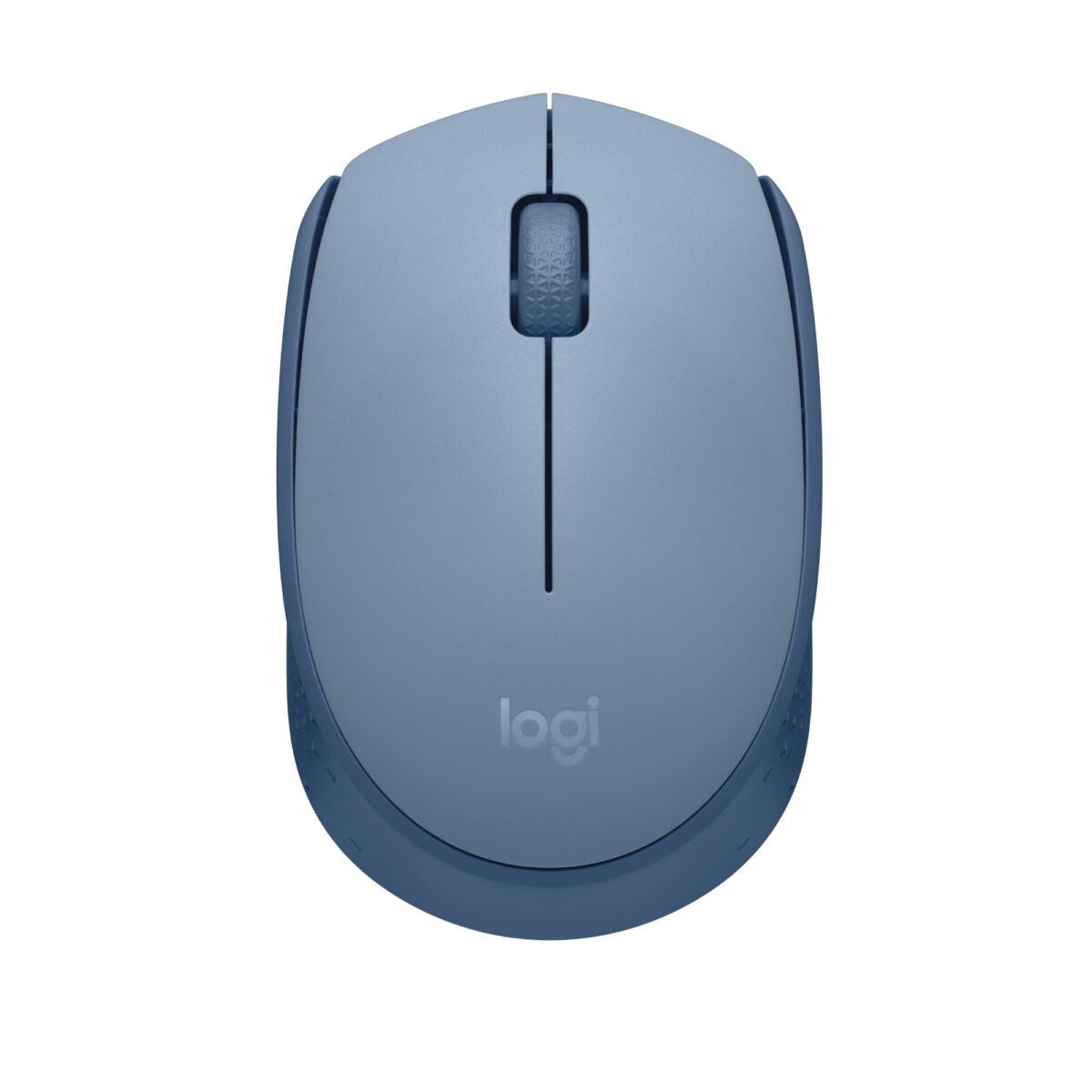 Logitech M171 Kablosuz Mouse Mavi-Gri 910-006866 - Görsel 1