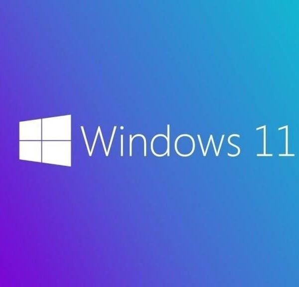 Ms Wındows 11 Pro 64 Bıt Ingılızce Oem FQC-10528